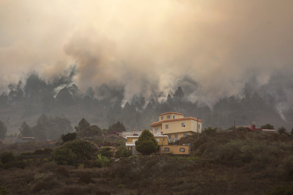 Waldbrand auf der Kanaren-Insel La Palma