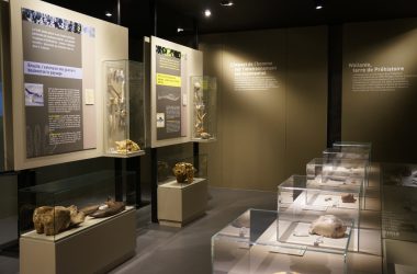 Prähistorisches Museum bei Lüttich