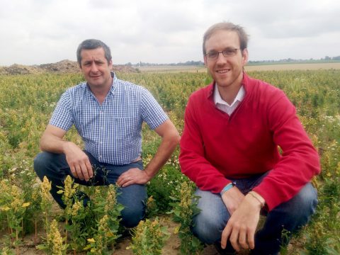 Quinoa-Fans und -Förderer: Charles De Grady und Francois Gilbert de Cauwer