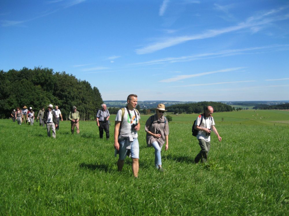 Vogel-Exkursion durchs St. Vither Land - hier in der Nähe von Galhausen