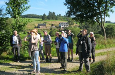 Vogel-Exkursion durchs St. Vither Land - hier in der Nähe von Galhausen