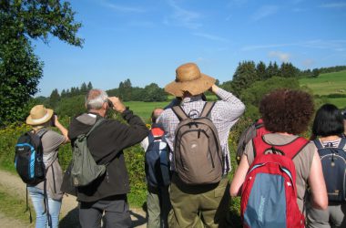 Vogel-Exkursion durchs St. Vither Land - hier in der Nähe von Galhausen