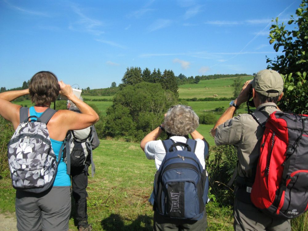 Vogel-Exkursion durchs St. Vither Land - hier in der Nähe von Galhausen