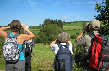 Vogel-Exkursion durchs St. Vither Land - hier in der Nähe von Galhausen