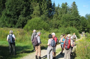 Vogel-Exkursion durchs St. Vither Land - hier in der Nähe von Galhausen