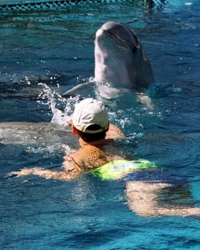 Zentrum Mundo Mar im spanischen Benidorm