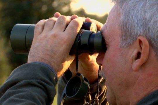 Die Hirschbrunft lockt immer mehr Naturfreunde an