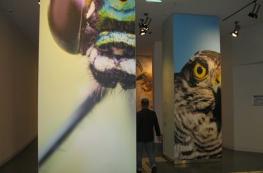 Neues Forum Vogelsang offiziell eröffnet