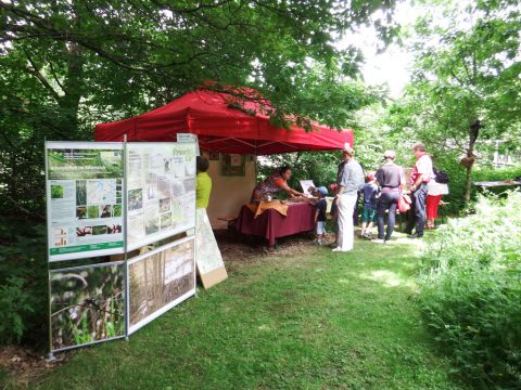 Tag der Offenen Tür im Haus Ternell (2015)