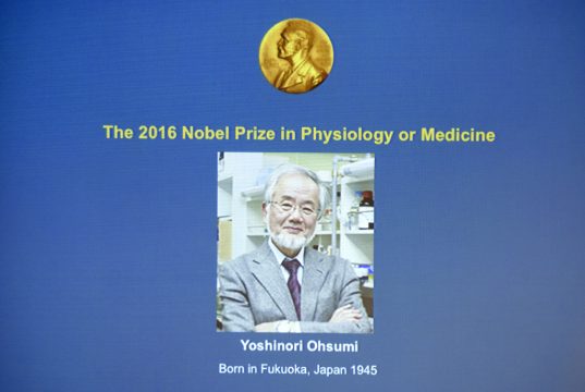 Nobelpreis für Medizin geht an den japanischen Zellbiologen Yoshinori Ohsumi