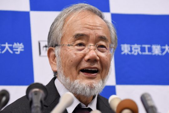 Nobelpreis für Yoshinori Ohsumi: Der Preisträger gibt eine Pressekonferenz in Tokio