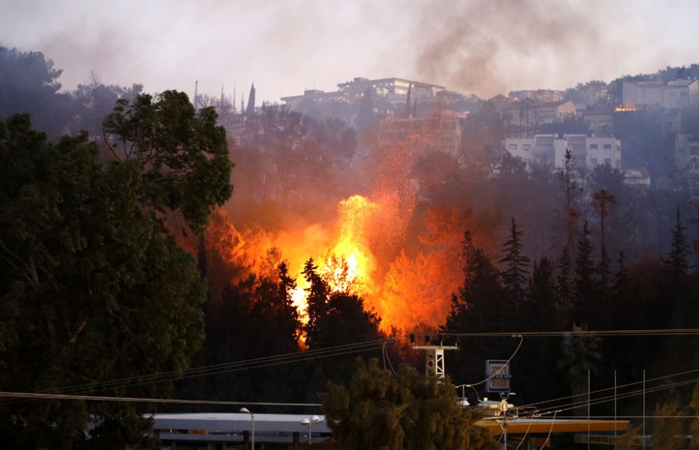 Großbrände wüten in Haifa