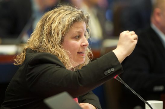 Kammerabgeordnete Sophie De Wit (N-VA) am 29.3.