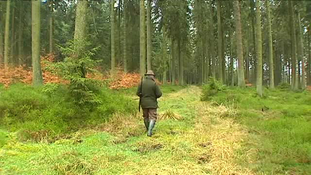 Jäger im ostbelgischen Wald