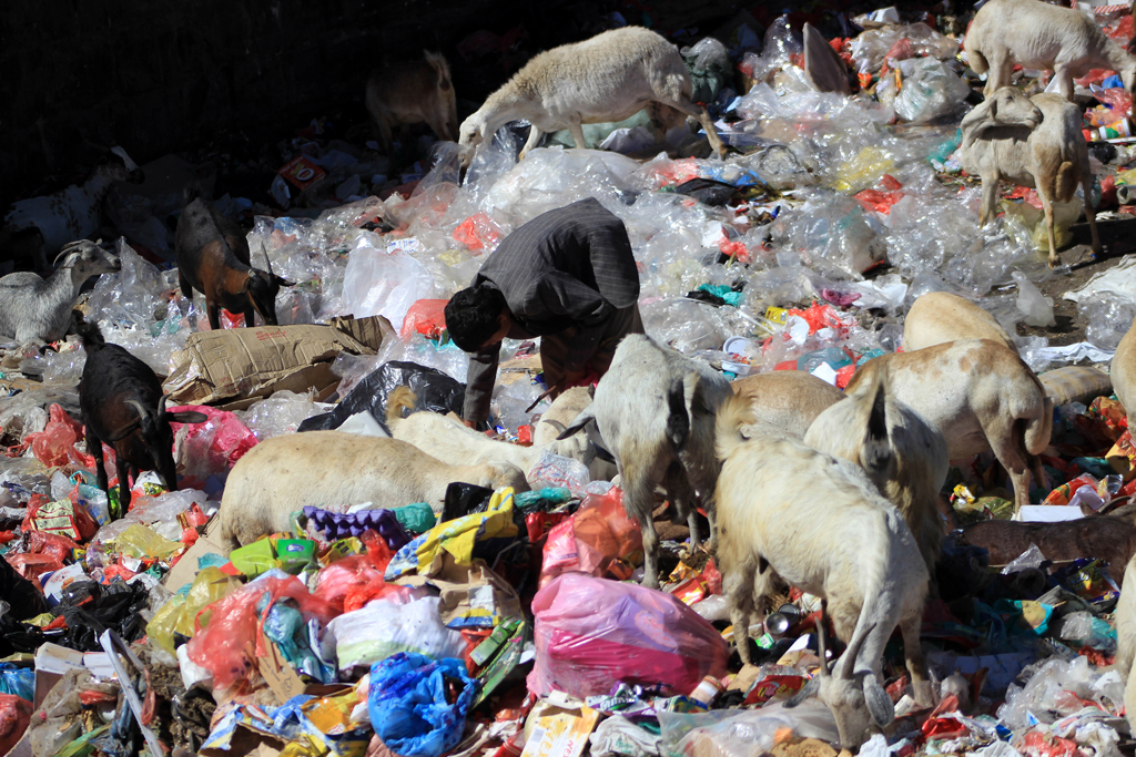 Kind beim Müllsammeln in Sanaa