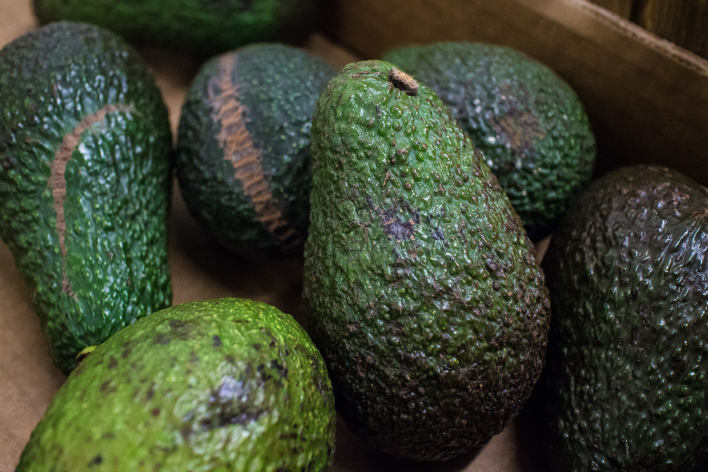 Avocado im Supermarkt