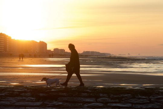 Gassigehen an der belgischen Küste in Ostende