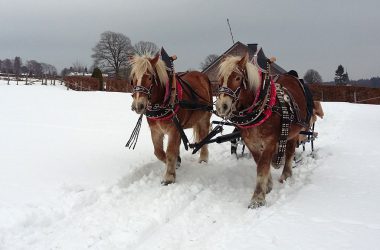 Pferdeschlittenfahrt in Meyerode