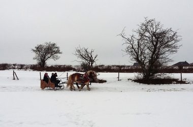 Pferdeschlittenfahrt in Meyerode