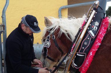 Pferdeschlittenfahrt in Meyerode