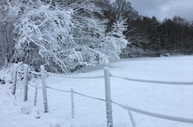 Schnee in Eupen (13. Januar 2017)