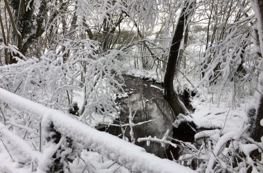 Schnee in Eupen (13. Januar 2017)