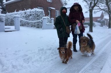 Schnee in Eupen (13. Januar 2017)