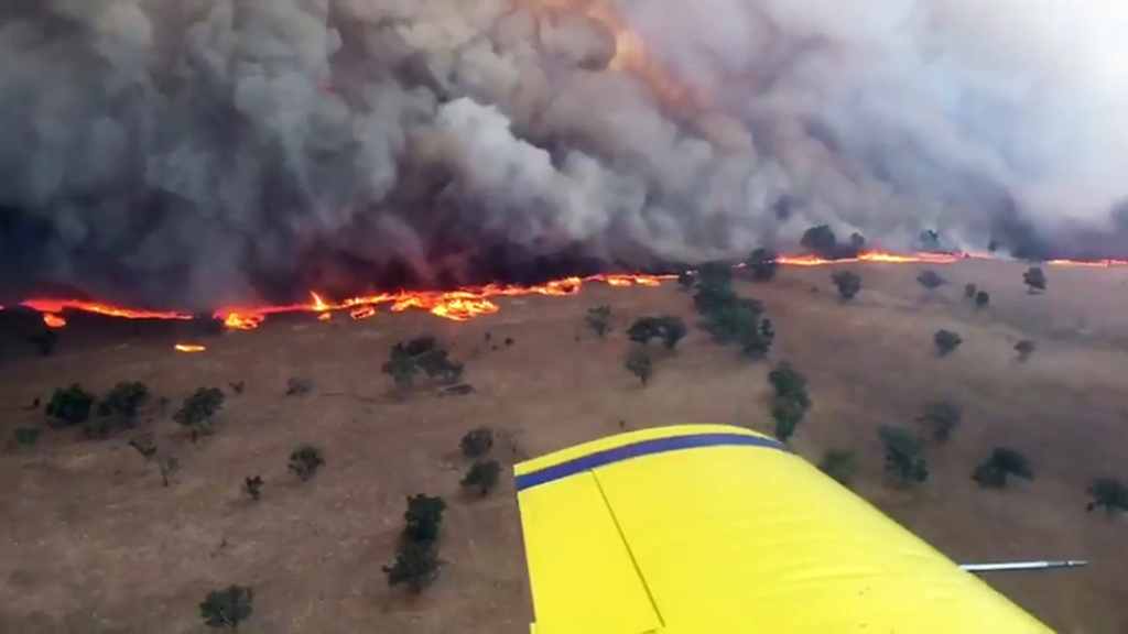 Buschbrände in Australien geraten außer Kontrolle