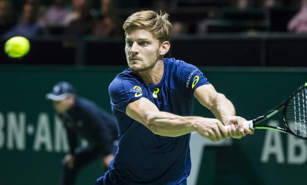 David Goffin