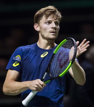 David Goffin