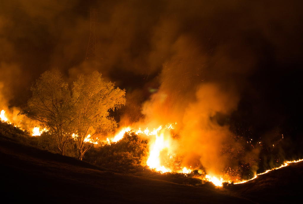 Buschfeuer wüten in Neuseeland (Bild vom 16. Februar 2017)