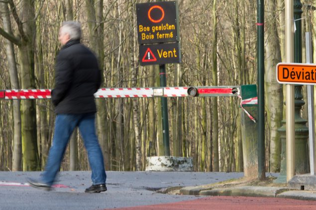 Wegen Sturmwarnung ist der Brüsseler Bois de la Cambre gesperrt worden