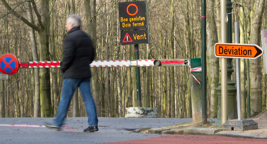 Wegen Sturmwarnung ist der Brüsseler Bois de la Cambre gesperrt worden