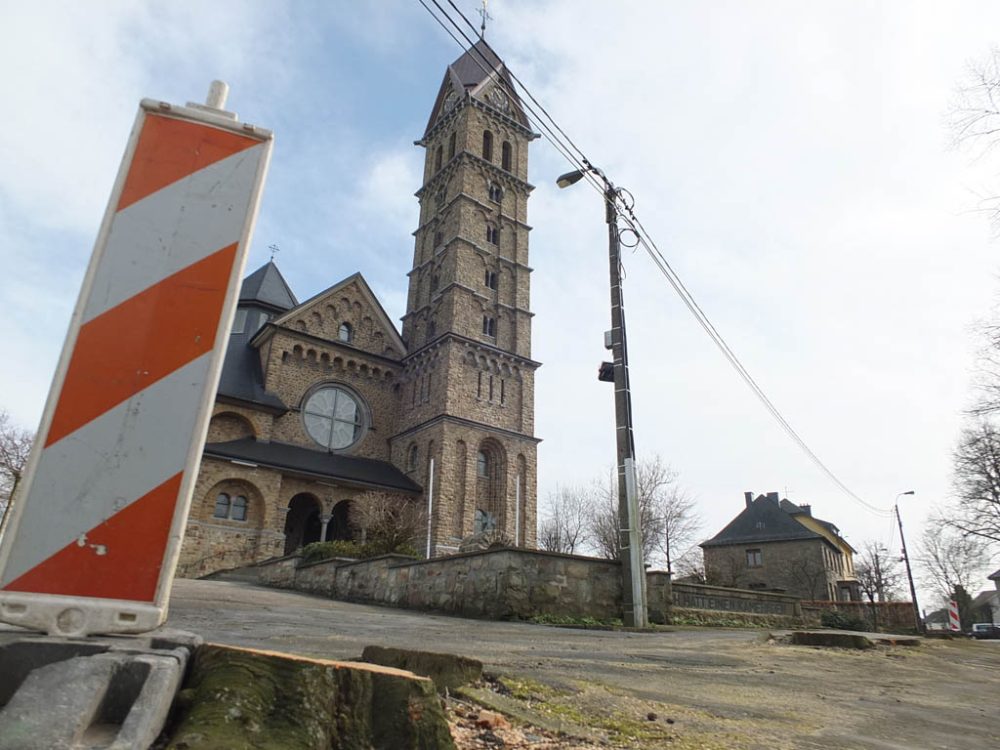 Gefällte Blutbuchen vor Bütgenbacher Kirche