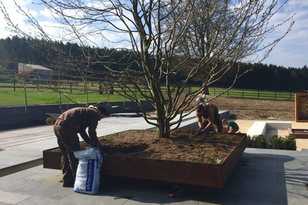 Julien Boveroux und Andy Lansch haben bei den Worldskills Gold in der Kategorie Gartenbau geholt