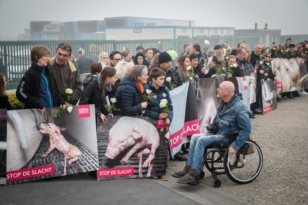 Protestkundgebung vor dem Schlachthof von Tielt