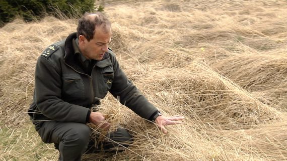 Brandgefahr: Trockenheit im Hohen Venn