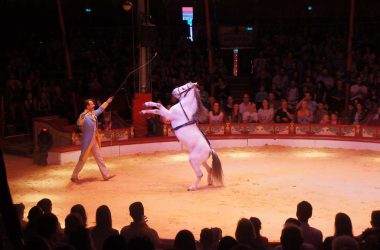 40 Jahre Roncalli: Jubiläumsshow in Aachen