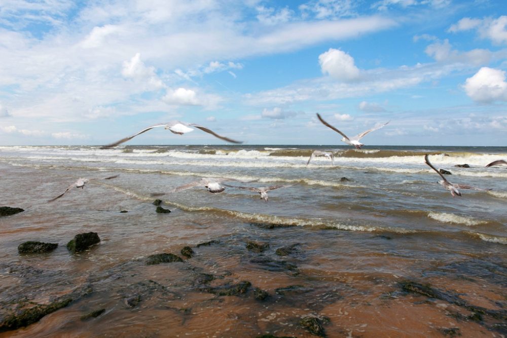 Ostende