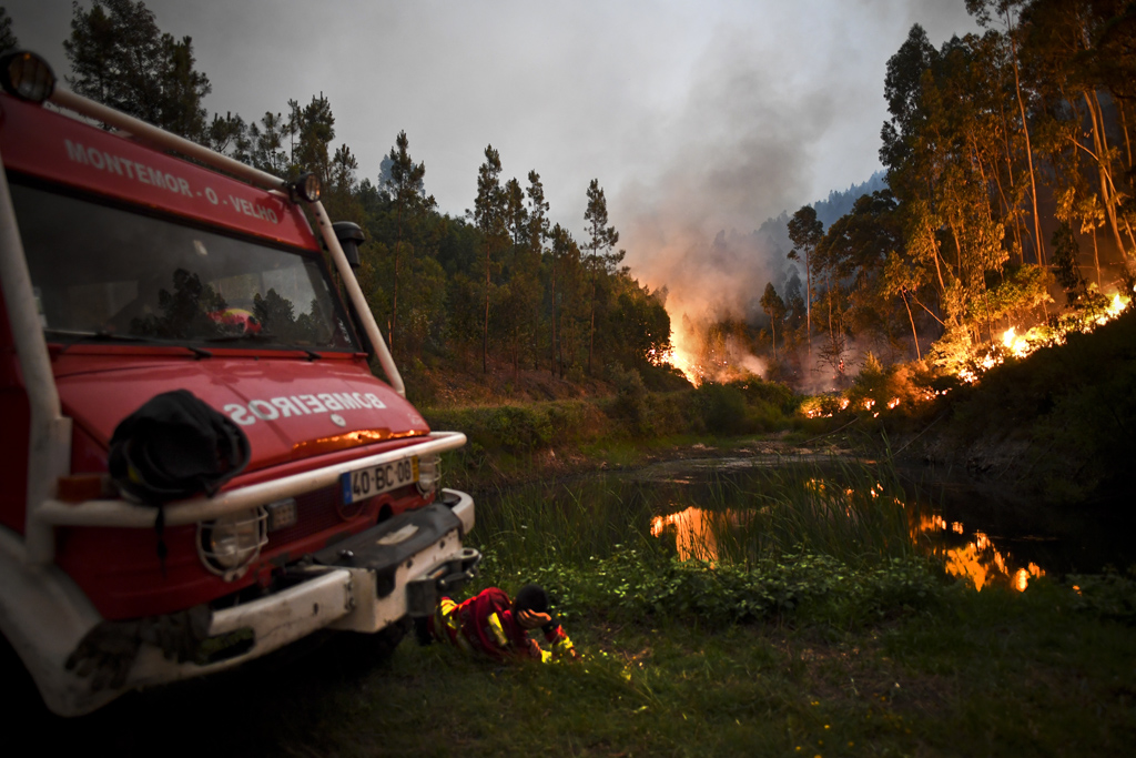 Schwere Walbrände in Portugal - viele Opfer