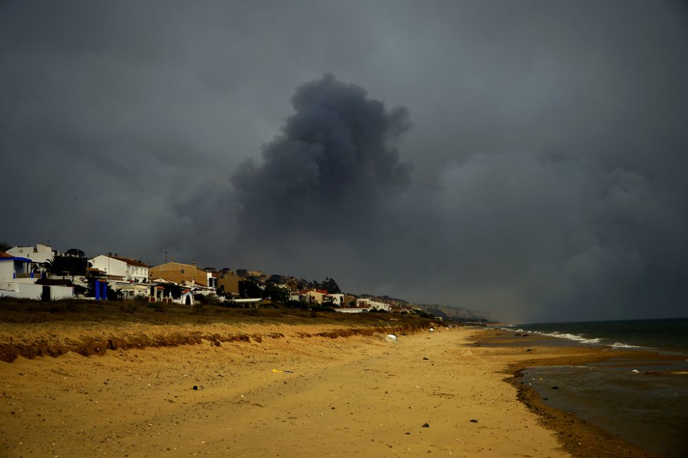 Waldbrand im Süden Spaniens