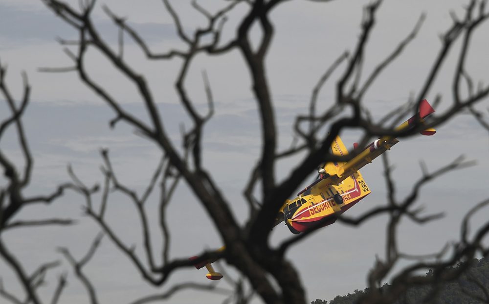 Ein Löschflugzeug gegen die Brände in Frankreich im Einsatz