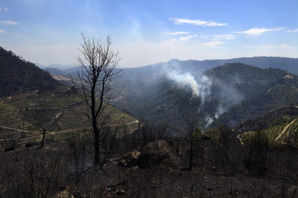 Waldbrände in Portugal