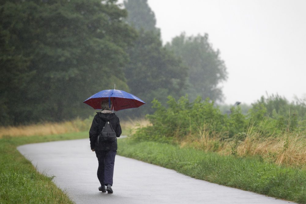 Regen (Bild: Kristof Van Accom/BELGA)