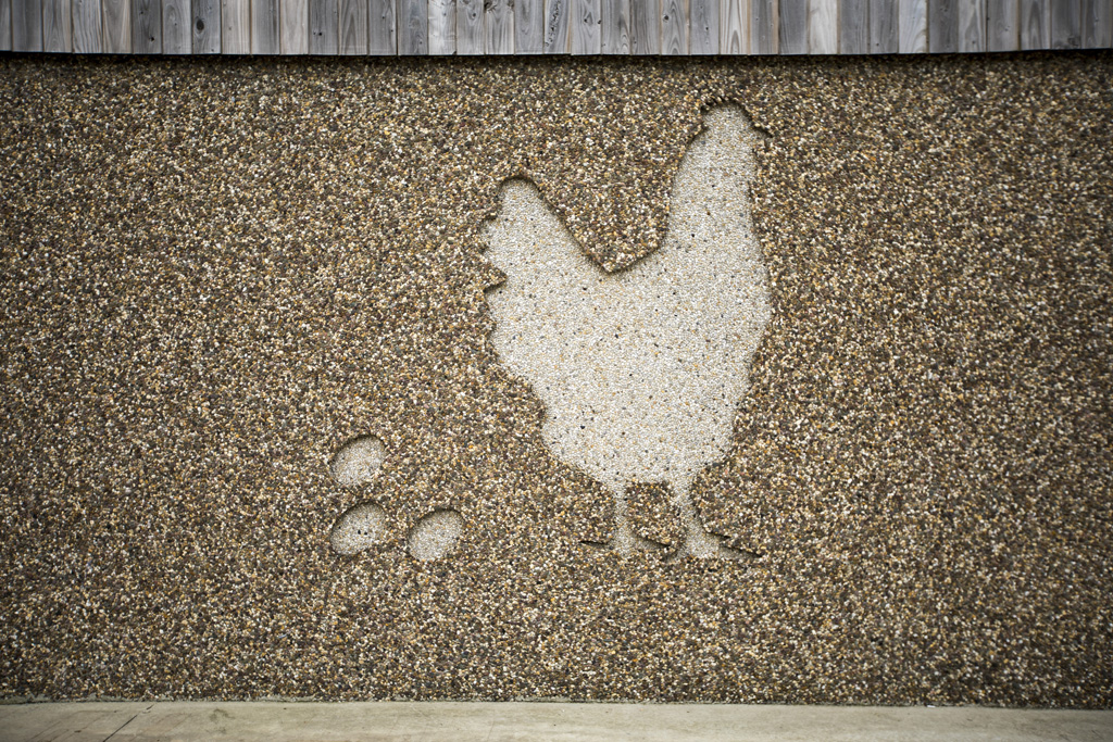 Huhn-Abbildung auf einer Eierfarm