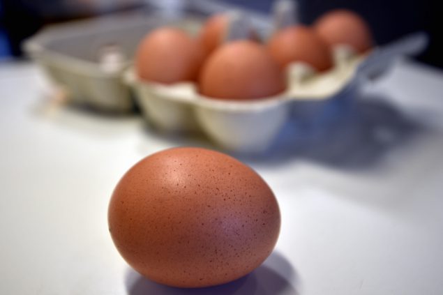 Eier