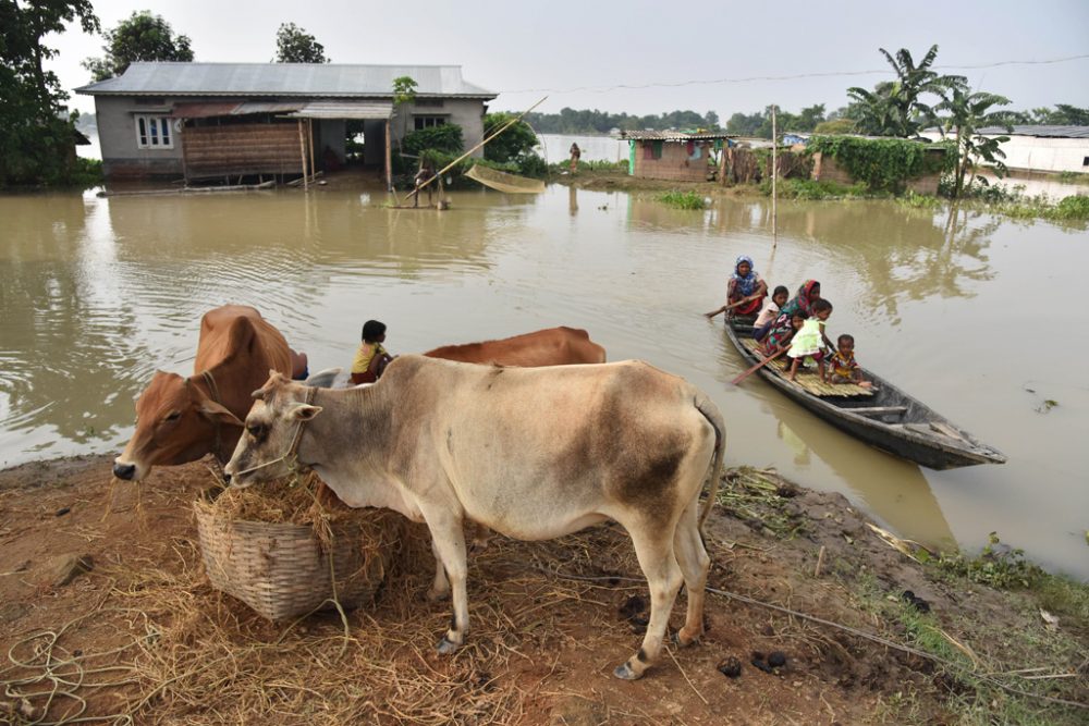 Überschwemmungen in Indien