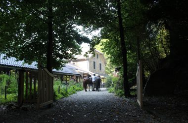 Insektenverkostung in der Moulin du Bayehon