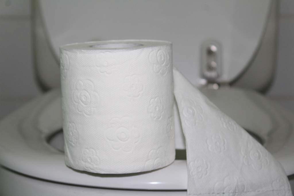Toilettenpapier (Illustrationsbild: Melanie Ganser/BRF)