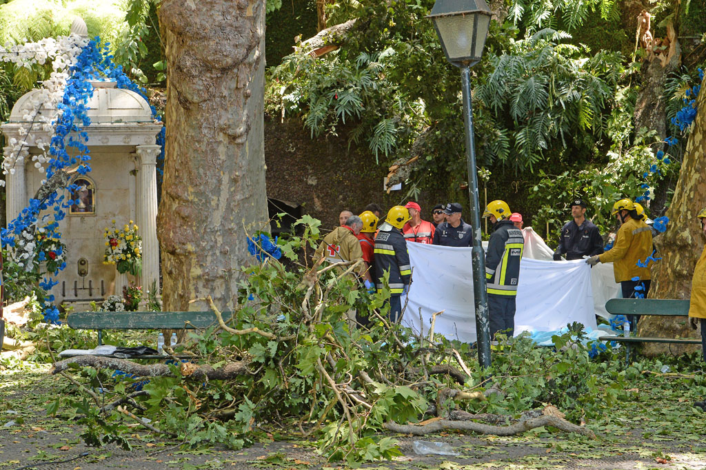 13 Tote durch umstürzenden Baum bei Volksfest auf Madeira